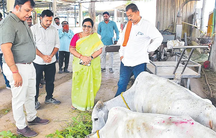 వేములవాడ గోశాలకు అదనంగా 50 ఎకరాలు