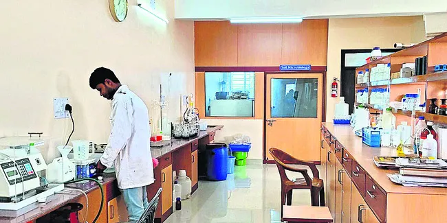 సిబ్బ