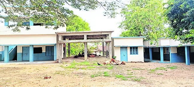 సగం స