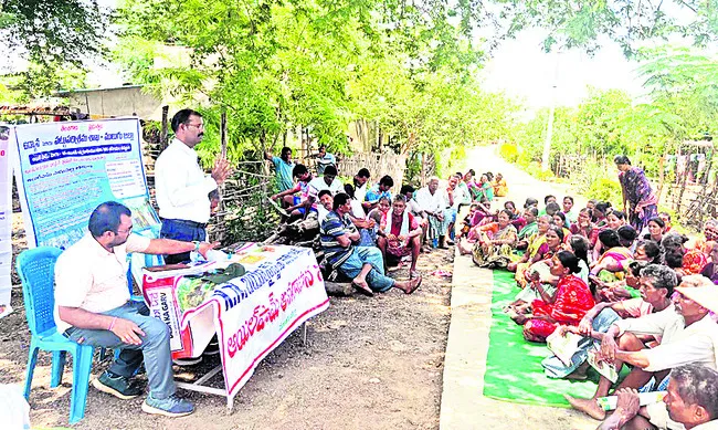 ఉద్యానవన పంటల సాగుతో అధిక దిడుబడి