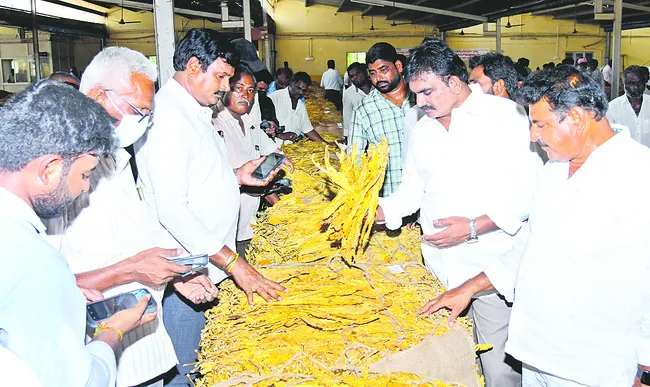 రోజు రోజుకూ పొగాకు ధరలు దిగజారుతున్నాయి
