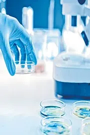Bat Viruses In China Show Covid-Like Threat, Scientists Warn6