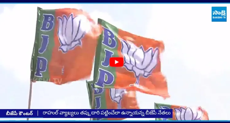 రాహుల్ గాంధీ ఆరోపణలను తీవ్రస్థాయిలో ఖండించిన బీజేపీ