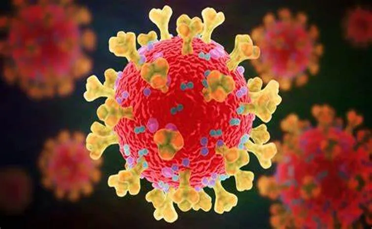 IIT-Guwahati uses clay particles to develop affordable COVID-19 testing method4