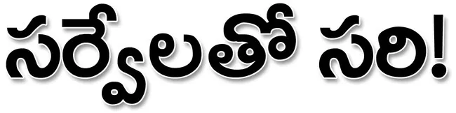 సర్వే