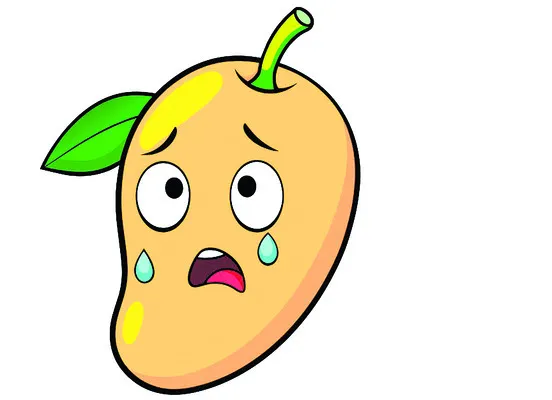 మామిడికి వరుణుడి దెబ్బ 