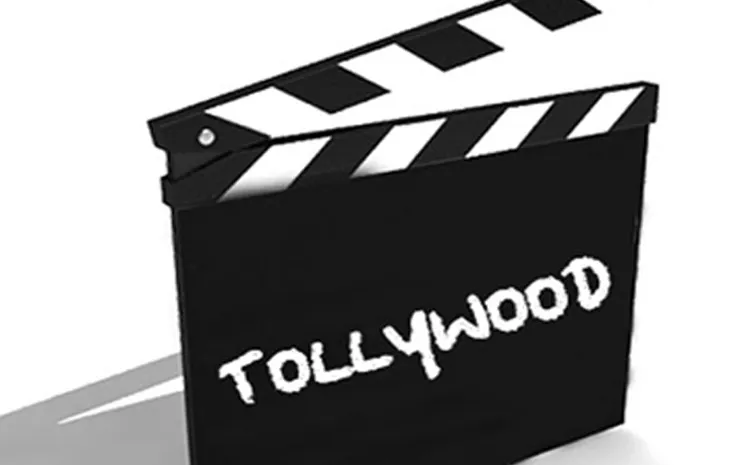 సినీ ఇండస్ట్రీలో సమస్యలు: 30 మందితో కమిటీ ఏర్పాటు