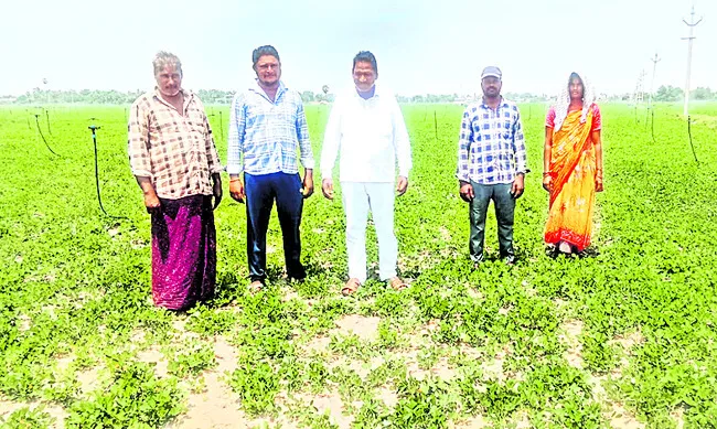 రైతులకు సక్రమంగా విద్యుత్ అందించాలి