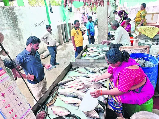 జలపుష