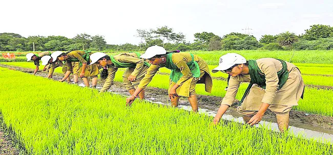 ‘అగ్రికల్చర్ పాలిటెక్నిక్’ నోటిఫికేషన్