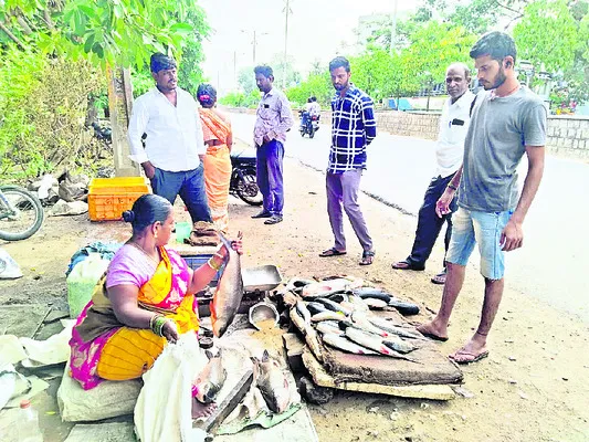 నేడు మృగశిర కార్తె