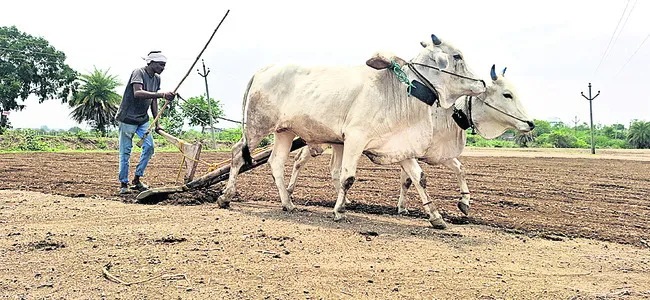 మురిపించి.. ముఖం చాటేసి