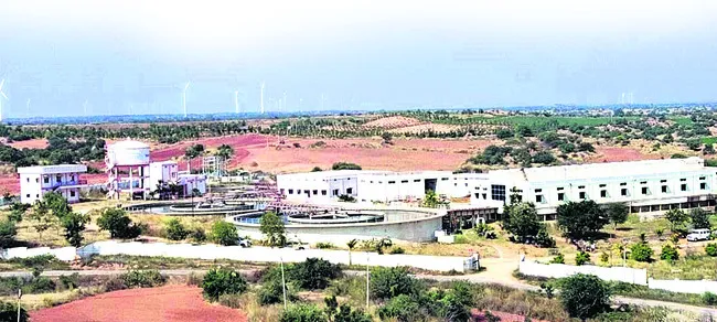 తారస్