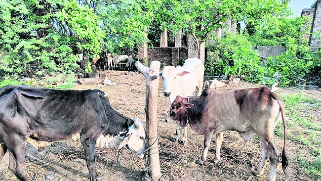 బార్ షాపు గుమస్తాపై నలుగురు దాడి..