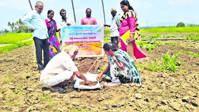 పరీక్