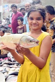 Mrigasira Karthi 20255