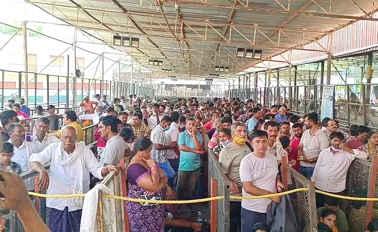 Fish Prasadam Distribution At Nampally Exhibition Ground