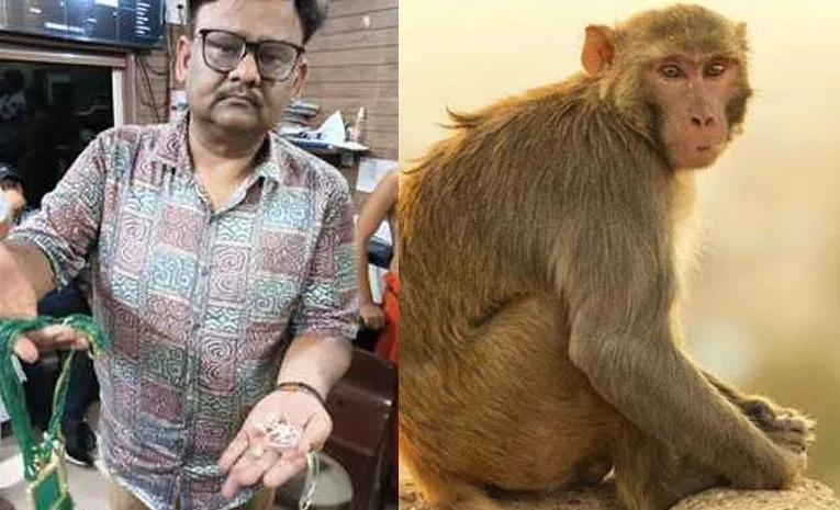 రూ.20 లక్షలు ఎత్తుకెళ్లిన కోతి.. ఆ తర్వాత ఏం జరిగిందంటే..