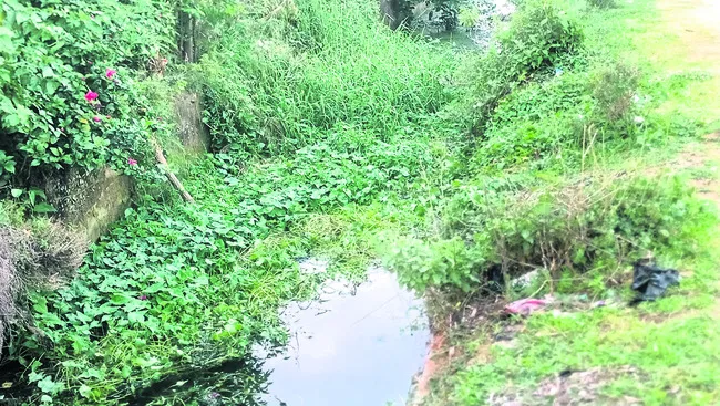 సాగర్