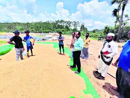 ధాన్యం సేకరణ55,245 మెట్రిక్‌ టన్నులు