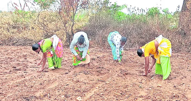 రైతుల