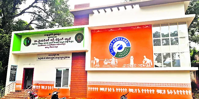 సాగు