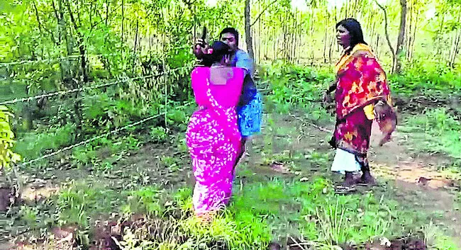 భూవివ