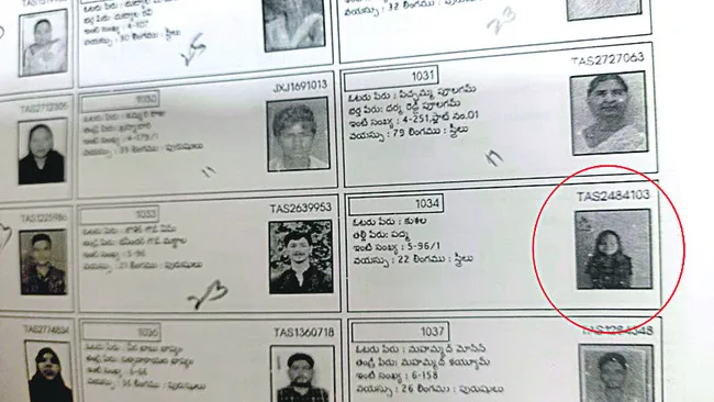 తప్పుల తడక