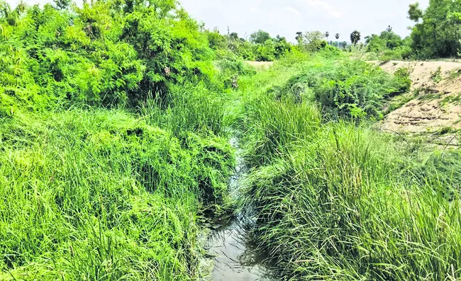 కాల్వ ఇలా.. నీరు పారేదెలా?