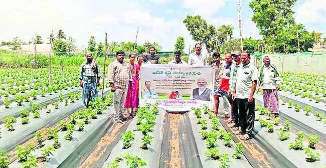 విత్తన నాణ్యతతో దిగుబడులు