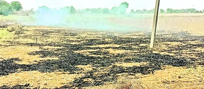పంట అవశేషాలను కాల్చొద్దు..