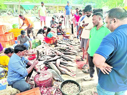 మృగశిర కార్తె సందడి