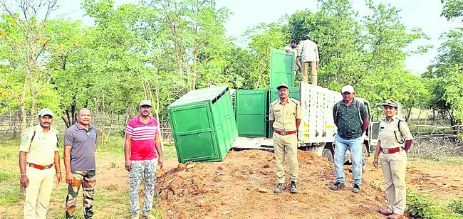 జంగల్