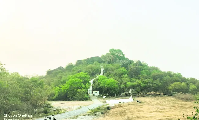 వృద్ధ
