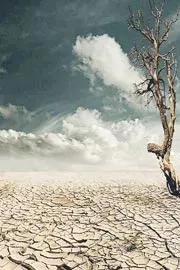 Droughts became 40percent more severe over past 40 years9