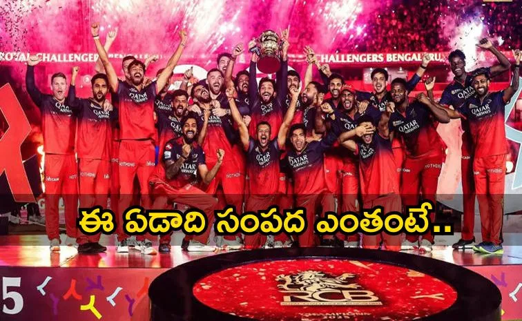 how much BCCI earned from IPL 2025