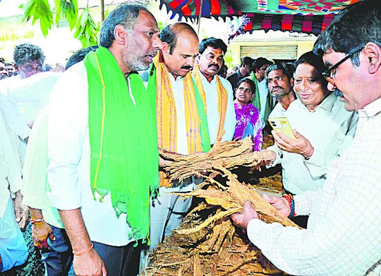గిట్టుబాటు ధర కల్పించి కొనుగోలు చేస్తాం..