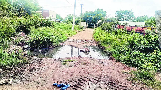 రోడ్లపై మురుగు.. రోడ్ల పక్కనే చెత్త 