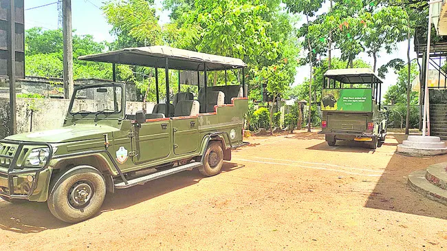 సఫారీకి సెలవు