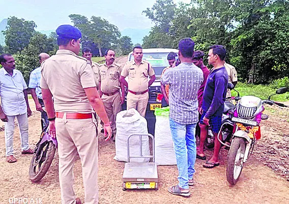 60 కిలోల గంజాయి పట్టివేత