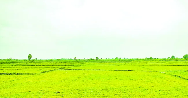 జూన్