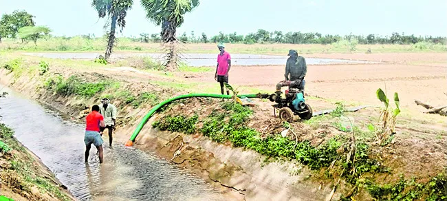 ఎండుత