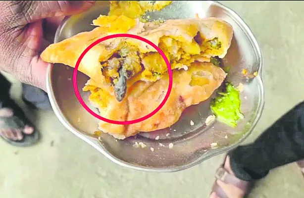 సమోసాలో బల్లి!