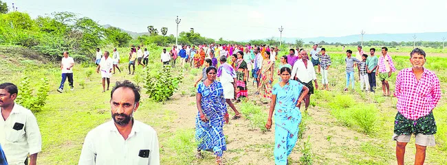 జాడ ల