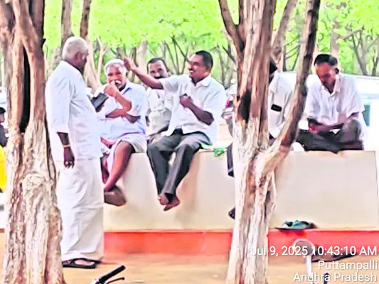 రిమ్స
