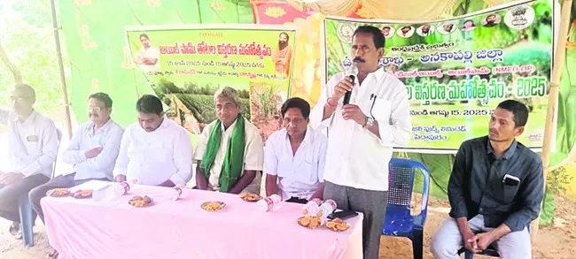 నీటి వసతి ఉంటే అయిల్‌పామ్‌ సాగు మేలు 