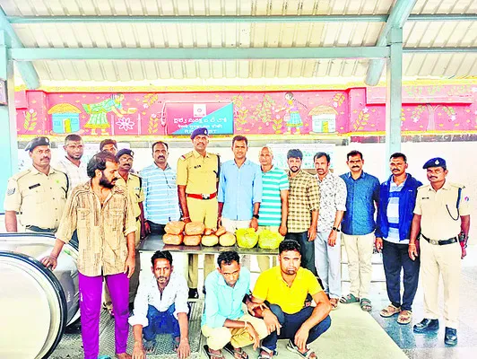 8 కిలోల ఎండు గంజాయి పట్టివేత 