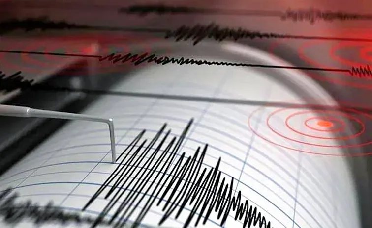 Strong Earthquake Tremors Felt in Delhi2