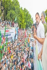 Rahul Gandhi accused the BJP of rigging the Maharashtra assembly elections3