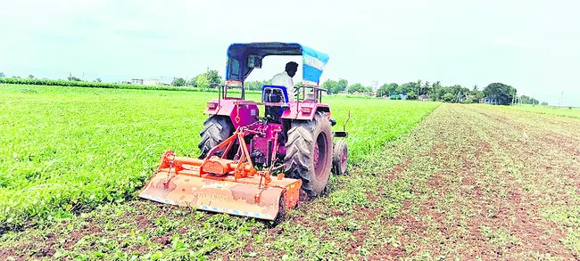 ఆశలు మట్టిపాలు